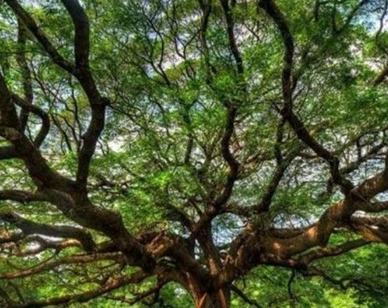 ����ʮ��֘����а���Ѫ���L����֡���������ɿ��ԃ�ˮ