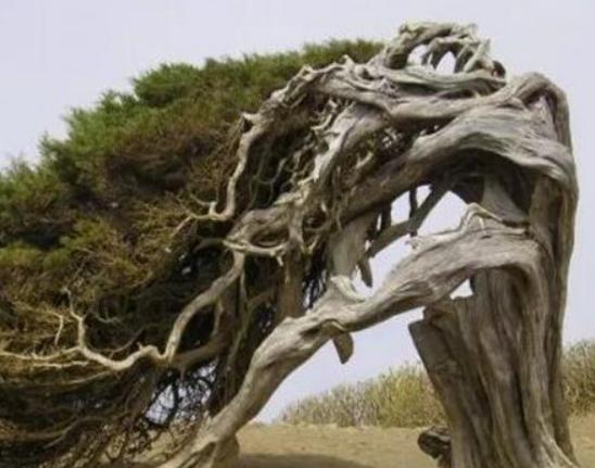 ����ʮ��֘����а���Ѫ���L����֡���������ɿ��ԃ�ˮ