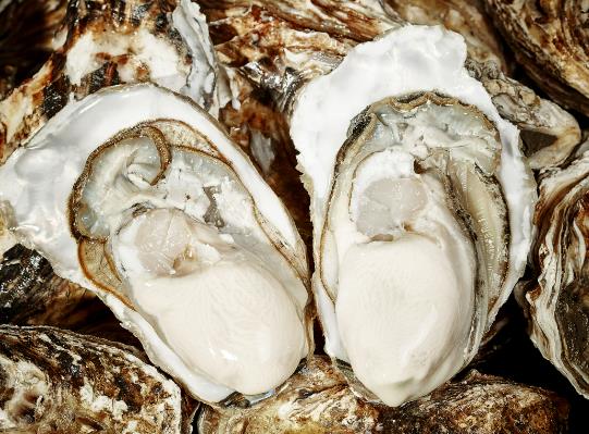 ��ϖ�����м����x������ϖ������Ҫ��׷��