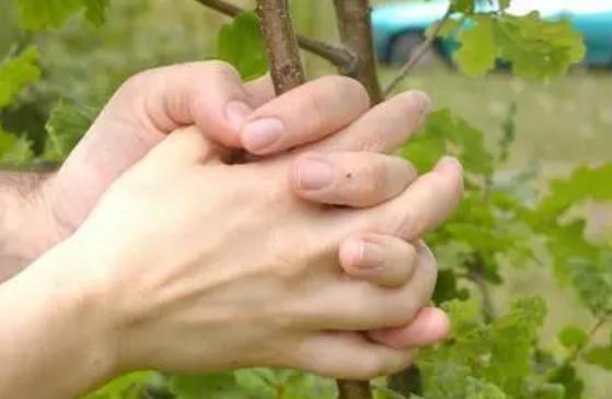 ��ʲô����ˮ�����ְ_ ˮ�����ְ_��ô����