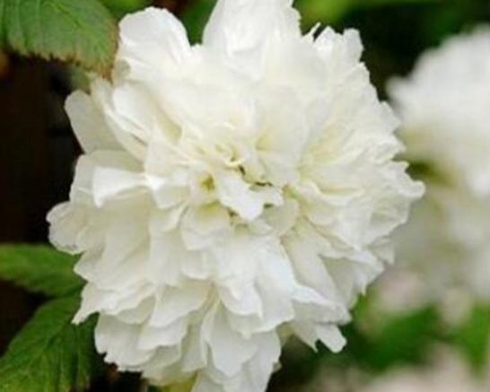 ����ʮ�������Ļ��������һ�����һ˲�g�����㡢ݱ�»�����]����·