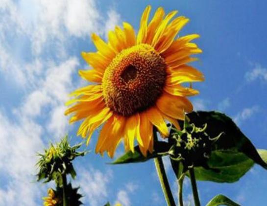 ����ʮ�������Ļ��������һ�����һ˲�g�����㡢ݱ�»�����]����·