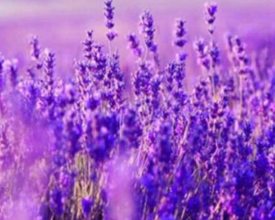 ����ʮ�������Ļ��������һ�����һ˲�g�����㡢ݱ�»�����]����·