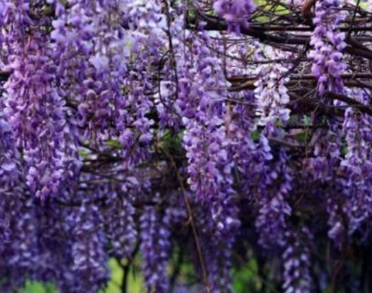 ����ʮ�������Ļ��������һ�����һ˲�g�����㡢ݱ�»�����]����·