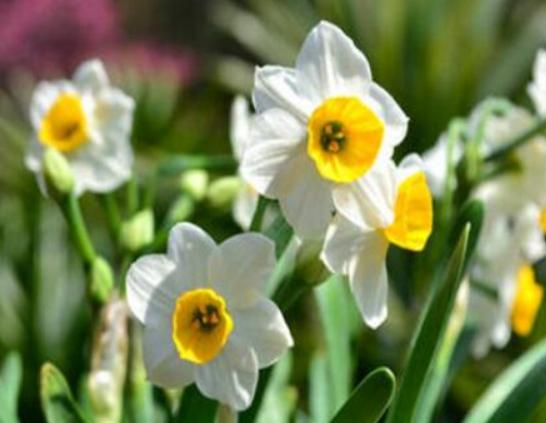 ����ʮ�������Ļ��������һ�����һ˲�g�����㡢ݱ�»�����]����·