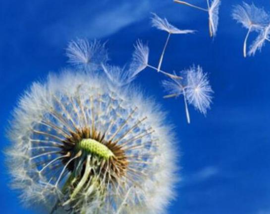 ����ʮ�������Ļ��������һ�����һ˲�g�����㡢ݱ�»�����]����·