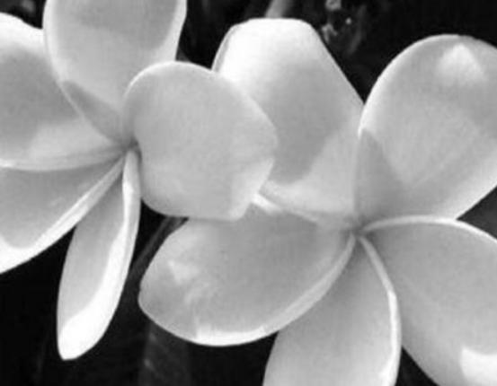 ����ʮ�������Ļ��������һ�����һ˲�g�����㡢ݱ�»�����]����·