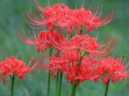 ����ʮ�������Ļ��������һ�����һ˲�g�����㡢ݱ�»�����]����·