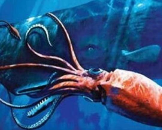 ����ʮ��δ֪���������������_���o�Ŀ��C���������\�����_��ǧ������