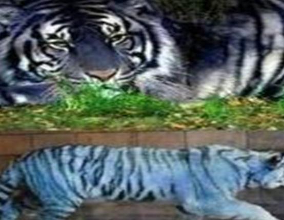 ����ʮ��δ֪���������������_���o�Ŀ��C���������\�����_��ǧ������