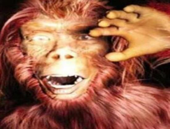 ����ʮ��δ֪���������������_���o�Ŀ��C���������\�����_��ǧ������