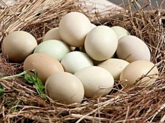 �u��ֻҪ��ɢ�S�Ϳ��ԳԆ᣿�u���ڱ�����ô���