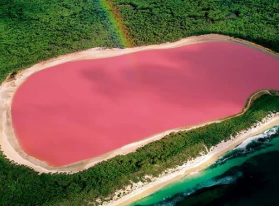 ����ʮ�����صĺ�������������ˮ�ɫ�������i��ˮĸ���а��f(w��n)ֻˮĸ