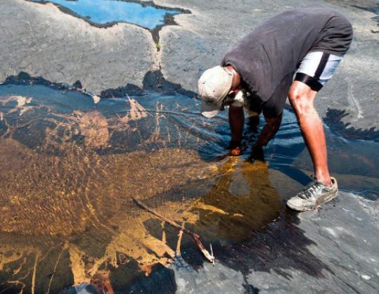 ����ʮ�����صĺ�������������ˮ�ɫ�������i��ˮĸ���а��fֻˮĸ