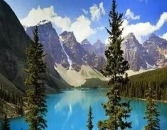 ����ʮ��u�Z�����������m�u���걻��ѩ���w���׃ȁ��uƽ��������ǧ