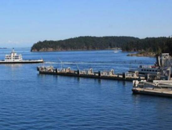 ����ʮ��u�Z�����������m�u���걻��ѩ���w���׃ȁ��uƽ��������ǧ