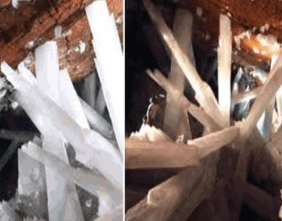 ����ʮ���ò���^�����y�r�����@Ӡ����ˮ��ϼҊ�ߟo���Ї@