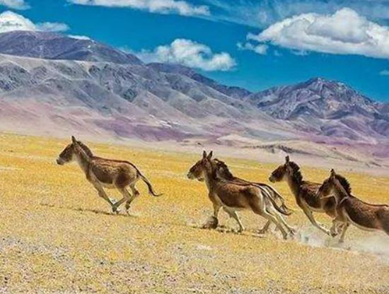 �Ї�ʮ�����������Ǽ�����Q����������Ľ��^�������e���С�������