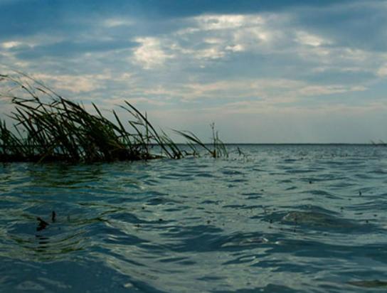 �Ї�ʮ�����������Ǽ�����Q����������Ľ��^�������e���С�������