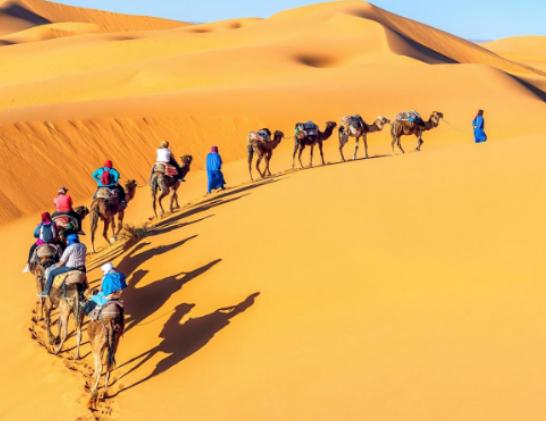 ����ʮ��ɳĮ������������ɳĮ�˟�ϡ�١�������ɳĮ�V�a�YԴ�S��