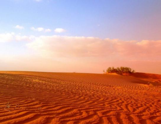 ����ʮ��ɳĮ������������ɳĮ�˟�ϡ�١�������ɳĮ�V�a�YԴ�S��