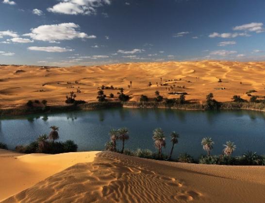 ����ʮ��ɳĮ������������ɳĮ�˟�ϡ�١�������ɳĮ�V�a�YԴ�S��