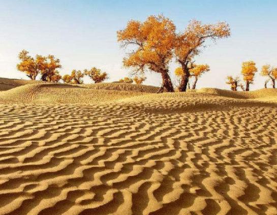 ����ʮ��ɳĮ������������ɳĮ�˟�ϡ�١�������ɳĮ�V�a�YԴ�S��