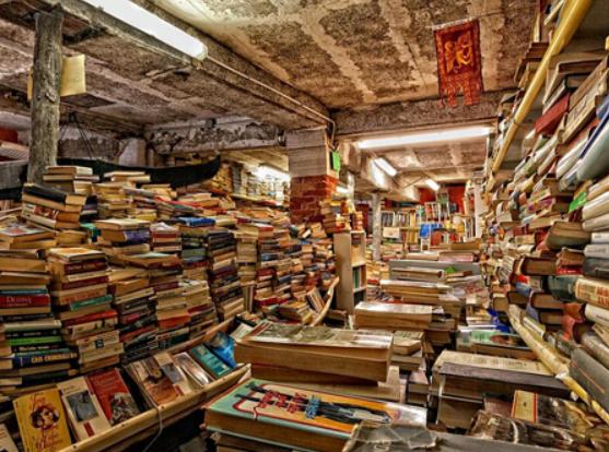 bbcȫ��ʮ���������꣬���R˹�������Polare����������X������\֮��