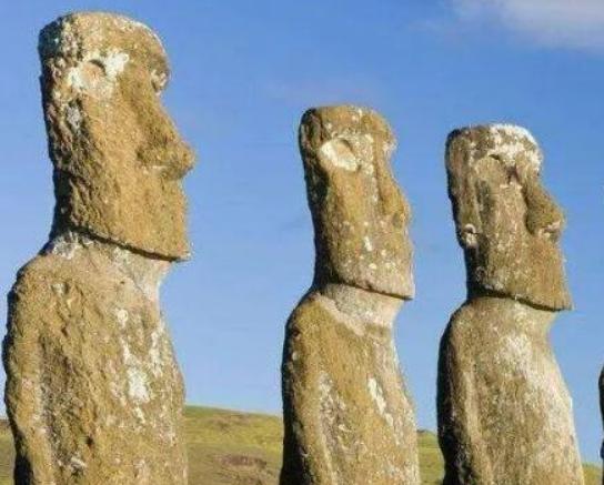 ����ʮ������������S�F�����������¡�����l���w֪���ȟo�˲�֪