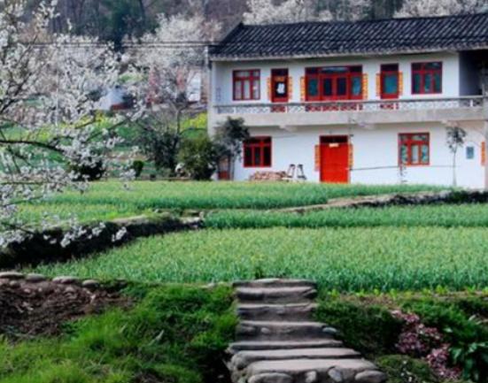 �V�|ʮ���l(xi��ng)�����а�ɏ���ǳ���������ɽ����e��