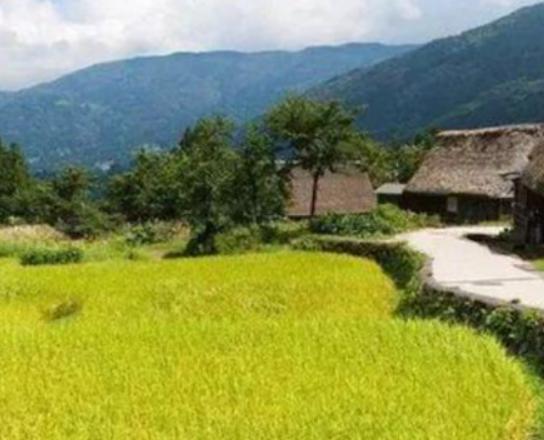 �V�|ʮ���l(xi��ng)�����а�ɏ���ǳ���������ɽ����e��