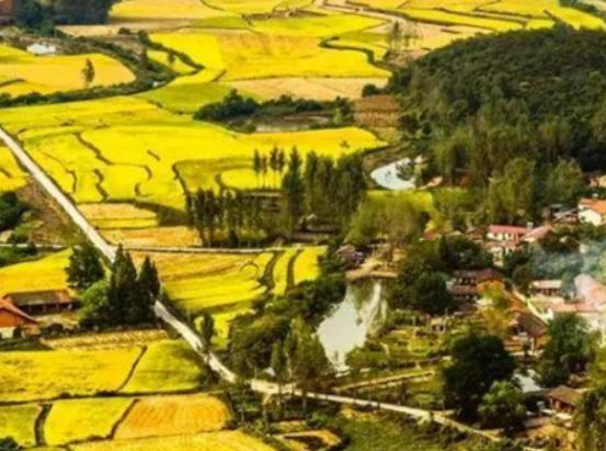 �V�|ʮ���l(xi��ng)�����а�ɏ���ǳ���������ɽ����e��