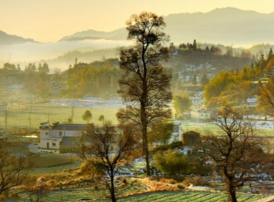 �㽭ʮ���������а񣬺�˹·��vʷ�ƾá�����ɽ�彨���˹Ŵ��䱣�o(h��)��λ