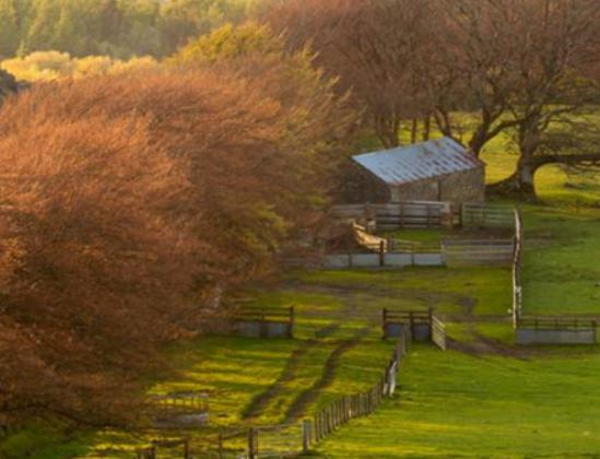 �㽭ʮ���������а񣬺�˹·��vʷ�ƾá�����ɽ�彨���˹Ŵ��䱣�o(h��)��λ