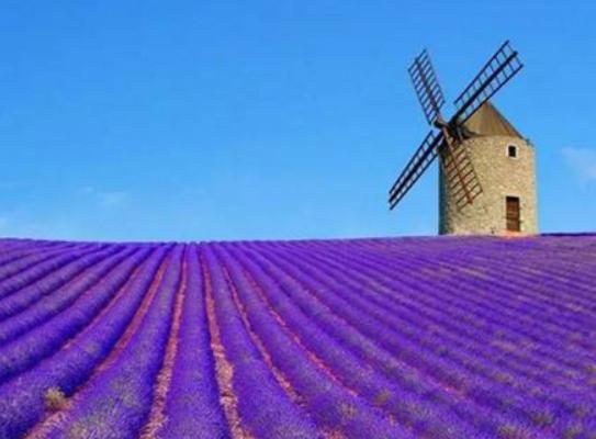 ����ʮ���Y�������������u�L�����������_��˹�M�������������