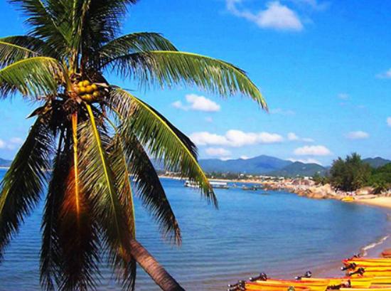 ����ʮ���Y�������������u�L�����������_��˹�M�������������