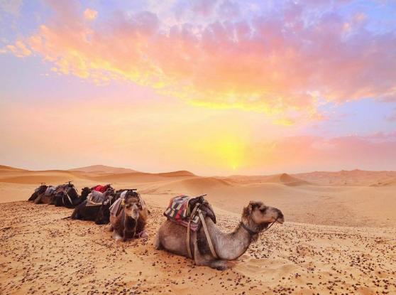 ʮ������������ĵط����а񣬾S�������ٲ��܉��^�����_��������߶�����