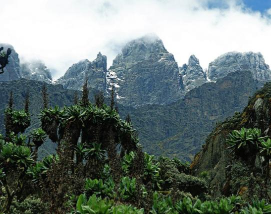 ʮ������������ĵط����а񣬾S�������ٲ��܉��^�����_��������߶�����