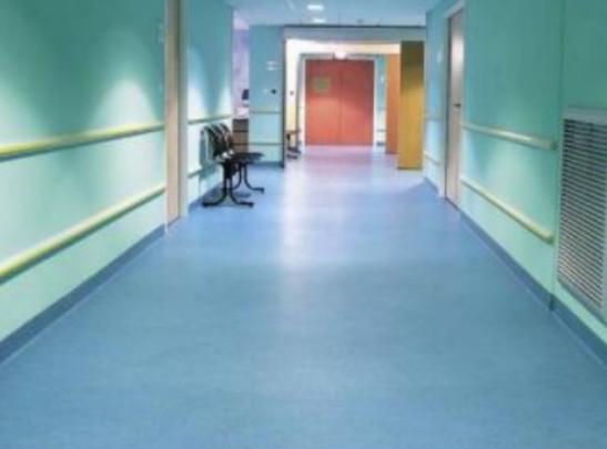 ʮ��֪�����z�ذ�Ʒ�ƣ�LGHausys�ܭh������ķ˹���ܵ����M����A