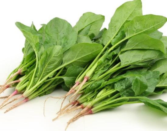 ȫ���J(r��n)�������ʮ�N�߲ˣ����˿�·��͡����}�����A(y��)�����Y