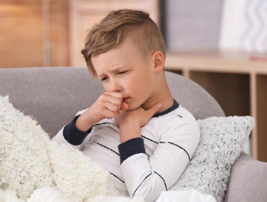 ֧ԭ�w�����ǲ���߀�Ǽ�(x��)����Ⱦ��֧ԭ�w�����ǷΟ�߀�Ƿκ������