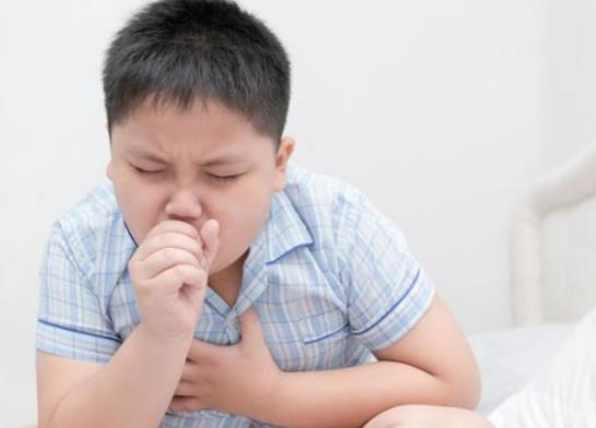 ֧ԭ�w�������w�����ã�֧ԭ�w���׿������T�\��ᘆ�