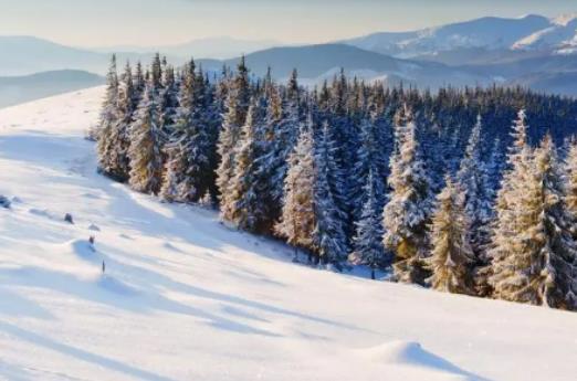 ���궬���ǲ����؄e���䣿2024�궬�������ǟ�