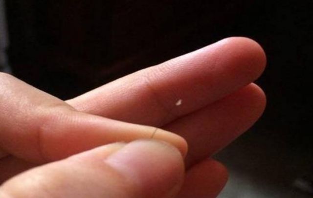 ë�ғp����ʲô�Y�� ë�ғp�����Ի֏͆�