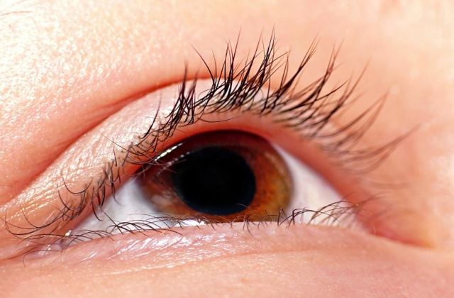 ����ë����ô���� ���۽�ë������