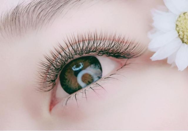 ��ʲô���Կ������L�۽�ë Ϳʲô�������L��ë