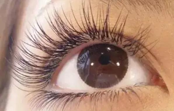 ��ë���˶�����L���� �۽�ë�����L��������ô�k