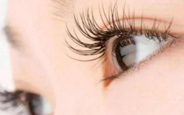 ��ë�B�����˶�����L���� ��ë���˶�����L����