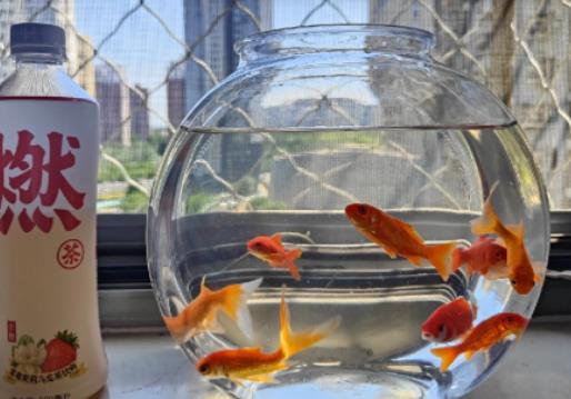 �L(f��ng)ˮ�~�B(y��ng)�חl����ؔ���L(f��ng)ˮ�~�׷��ڿ͏dʲôλ�����