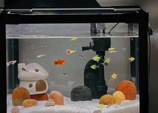 �P��������~�׺Æ᣿�¼Ҕ[�~���\�ݺÆ�